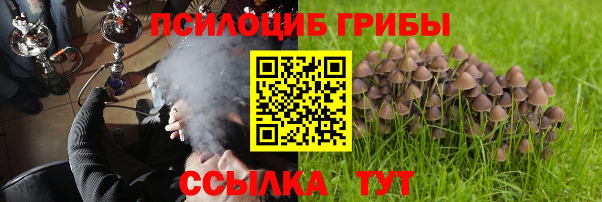 Галлюциногенные грибы мухоморы  Псилоцибиновые грибы MAGIC MUSHROOMS  наркотики  Добрянка  Вход с VPN 
